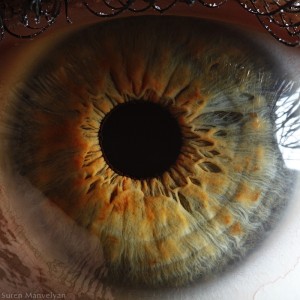 eye